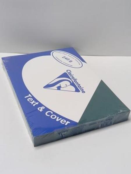 Rückwand A4 ledergenarbt dunkelgrün 240g