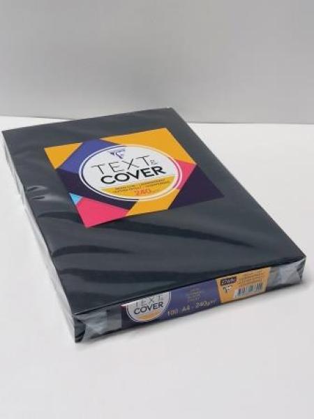 100 LMG Rückwände für Bindemappen schwarz 	Lederstruktur