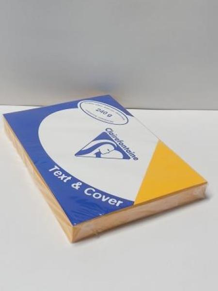 Rückwand A4 ledergenarbt sonnenblumengelb 240g