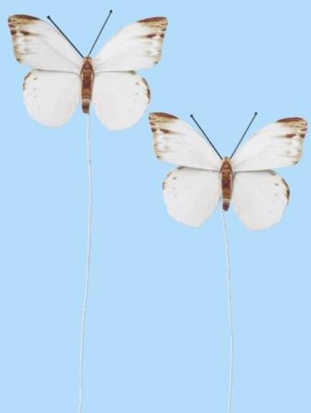 Schmetterling III, Btl. à 2 St.