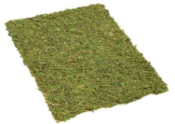 Matte Moos-optik, 20 x 30 cm