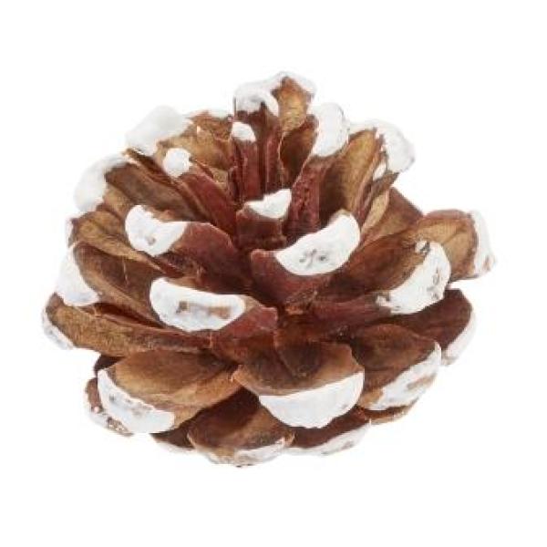 Tannenzapfen ca. 4 cm, Btl. à 4 St.