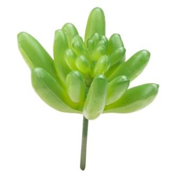 Mini-Garten Steingewächs V, ca. 8 cm, grün