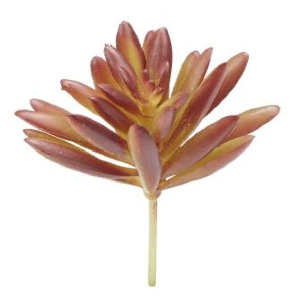 Mini-Garten Steingewächs VI, ca. 8 cm, braun