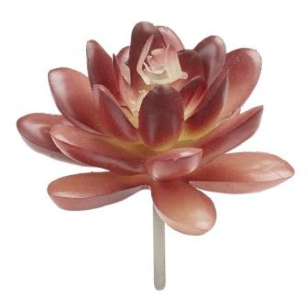 Mini-Garten Steingewächs VII, ca. 8 cm, braun