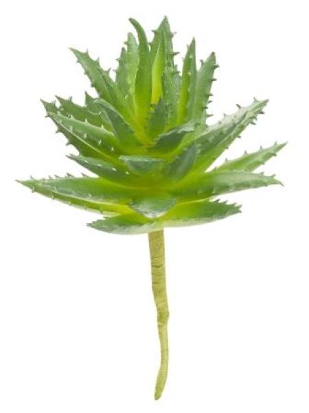 Steingewächs III, ca. 10 cm