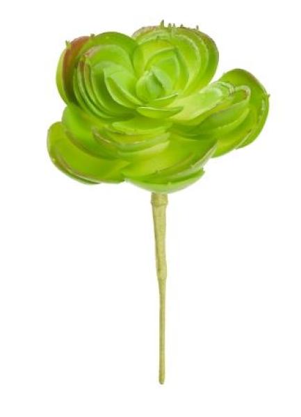 Steingewächs IV, ca. 10 cm