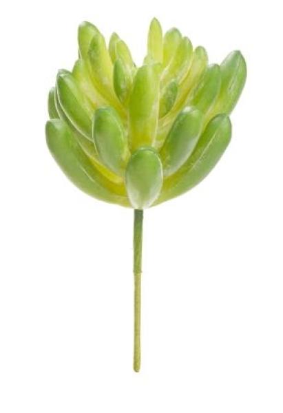 Steingewächs V, ca. 10 cm