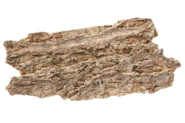 Rinde ca. 16 x 7 cm, Btl. à 2 St.