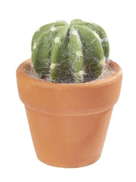 Kakteen im Topf I, ca. 4,5 cm