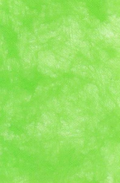 CREApop® Vliesrolle 25 cm x 15 m, olive  ldm