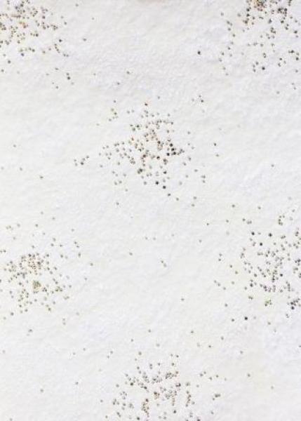 CREApop® Brilliant-Papiervlies creme/gold, 25 cm x 15 m  ldm