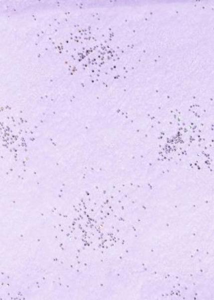 CREApop® Brilliant-Papiervlies lavendel/silber, 25 cm x 15 m  ldm