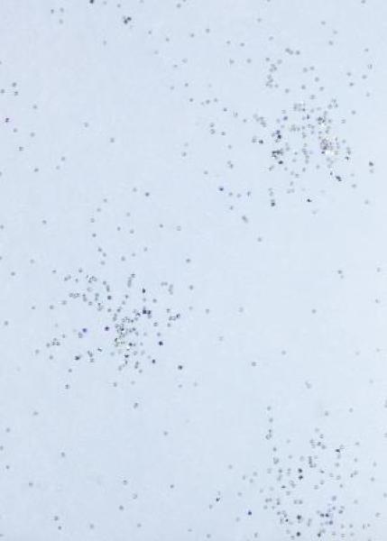 CREApop® Brilliant-Papiervlies hellblau/silber, 25 cm x 15 m    ldm