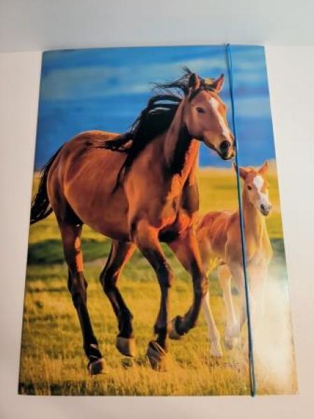 Gummizugmappe A3 Free Horses