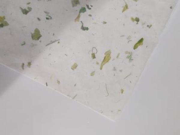 Onion Papier 50 x 70 cm 35g/qm grün