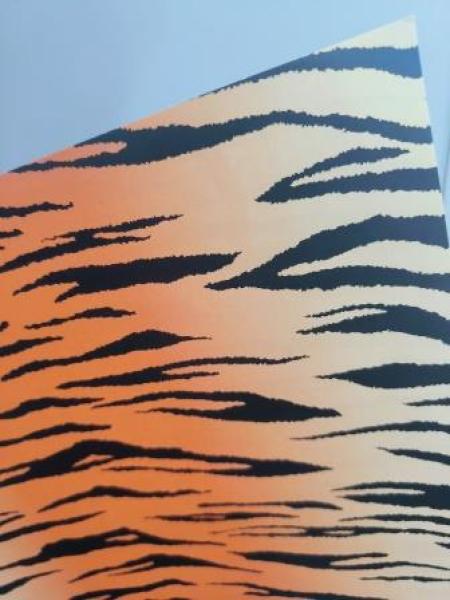 Bastelkarton 50 x 70 cm 300g Tiger