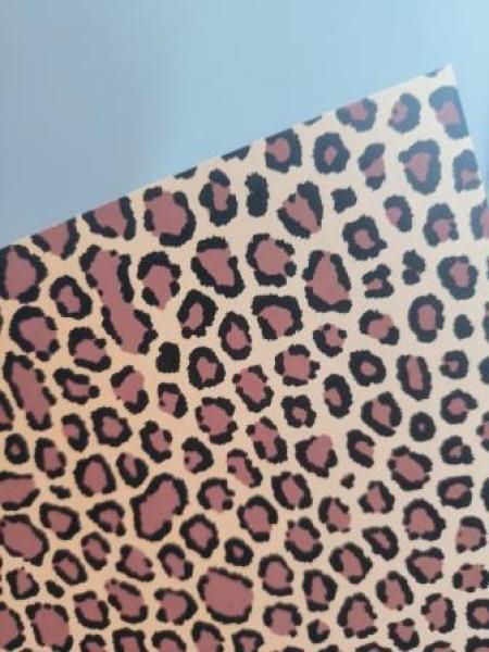 Karton 50x70cm 300g Gepard