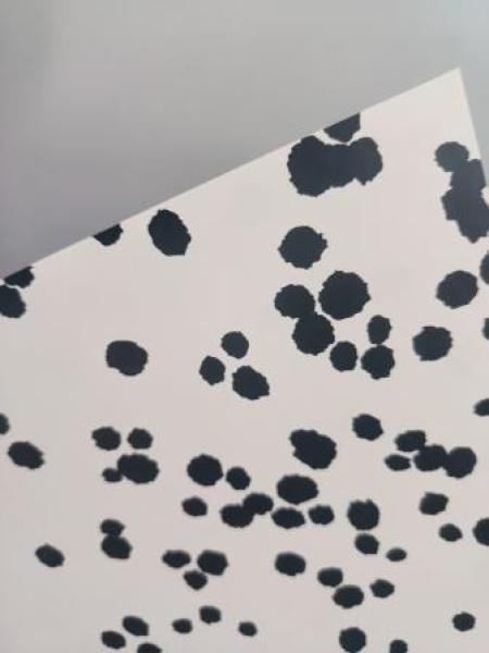 Fotokarton 50x70cm Tierdesign,300g