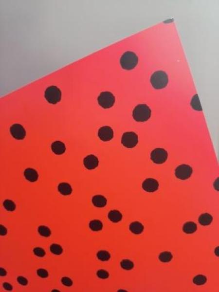 Bastelkarton 50 x 70 cm 300g Marienkäfer