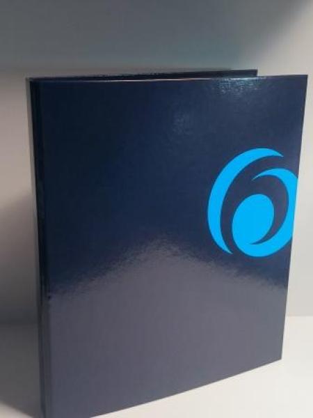 Ringmappe A4/2R/25mm blau