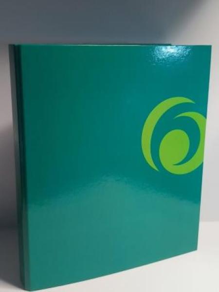 Ringmappe A4/2R/25mm grün