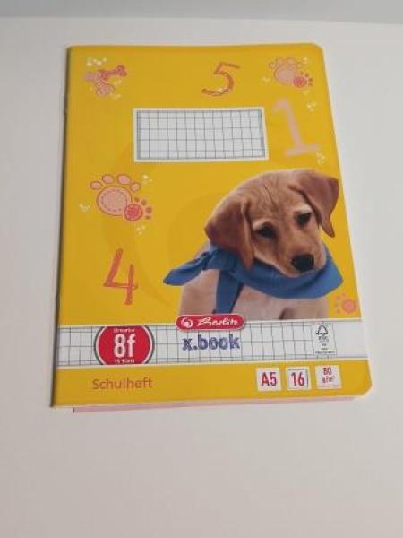 herlitz Schulheft x.book, DIN A5, L ineatur 8f / rautiert (33208010)