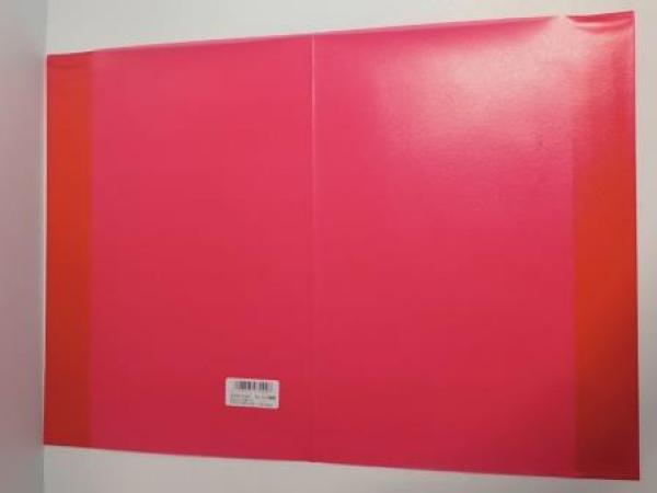 Heftschoner A4 transp. rot