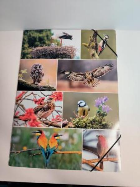 Gummizugmappe A3 Heimatvögel