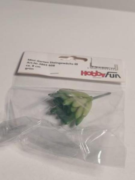 Mini-Garten Steingewächs III, ca. 8 cm, grün