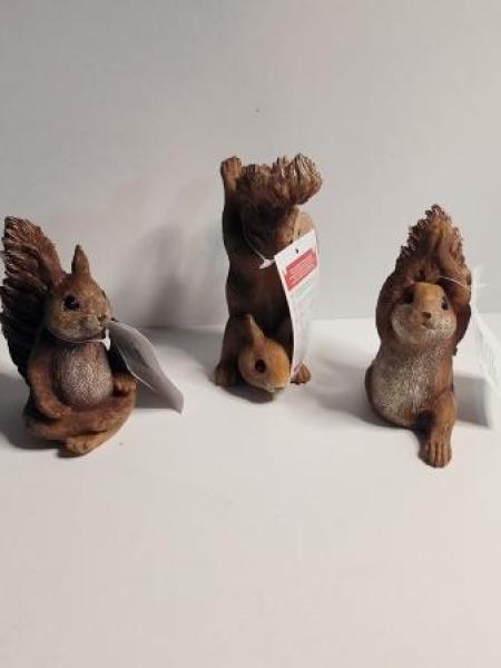 Eichhörnchen Albert