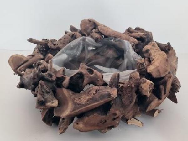 Holz Pflanzschale Treibholz braun poliert34 x 14 cm