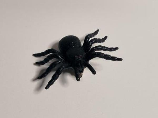 Haarclip Spinne