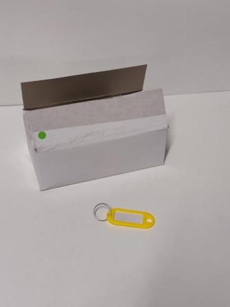 100 pavo Schlüsselanhänger gelb