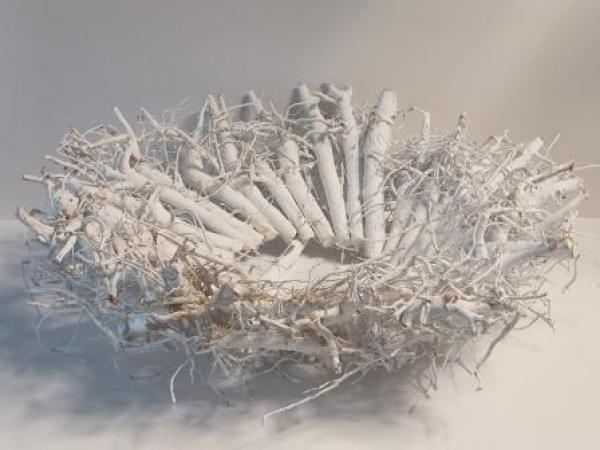 Holz-Pflanzschale weiß40 x 14 cm