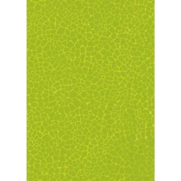 Blatt Décopatch ref. 531 20Bl